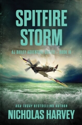 Cover of Spitfire Storm