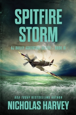 Cover of Spitfire Storm