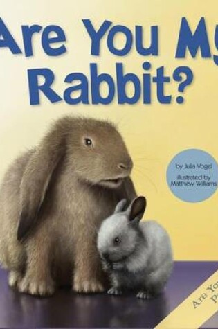 Cover of Are You My Rabbit?