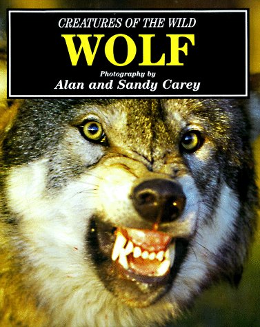 Book cover for Wolf