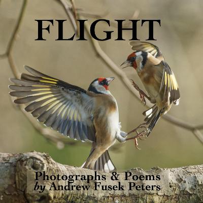 Book cover for Flight