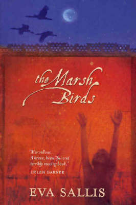 Book cover for The Marsh Birds