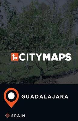 Book cover for City Maps Guadalajara Spain