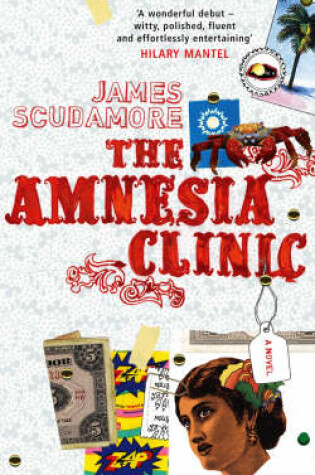 Cover of The Amnesia Clinic