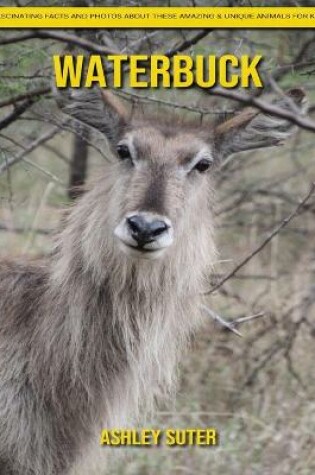 Cover of Waterbuck