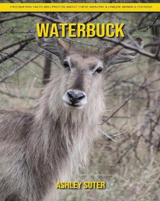 Book cover for Waterbuck