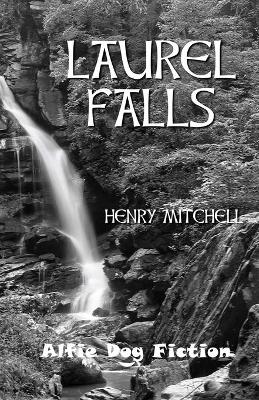 Book cover for Laurel Falls