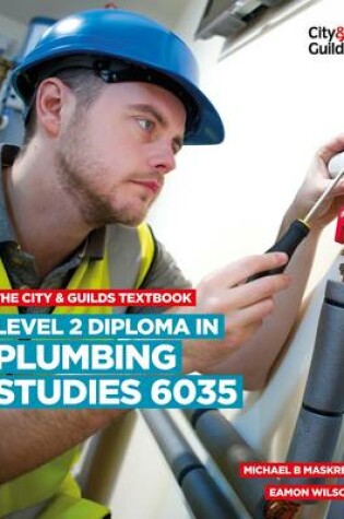 Cover of The City & Guilds Textbook: Level 2 Diploma in Plumbing Studies 6035