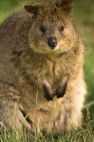 Cover of Say Hello to the Quokka Journal