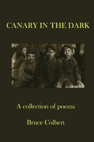 Cover of Canary in the Dark