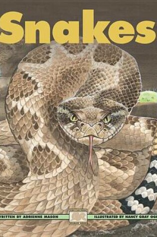 Cover of Snakes