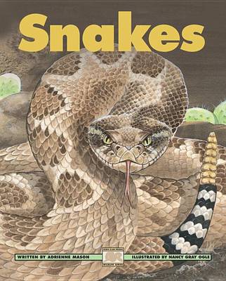 Cover of Snakes