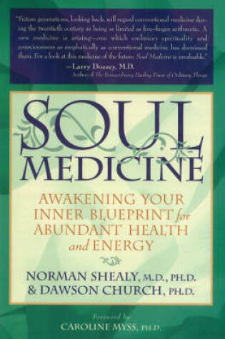 Cover of Soul Medicine