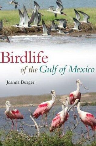 Cover of Birdlife of the Gulf of Mexico