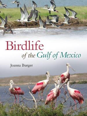 Cover of Birdlife of the Gulf of Mexico