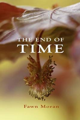 Book cover for The End of Time