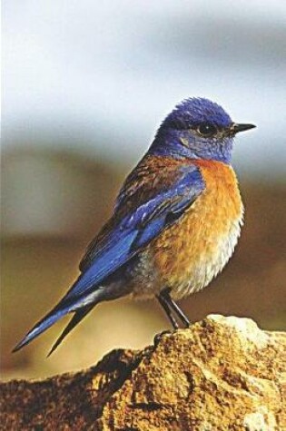 Cover of Western Bluebird Journal