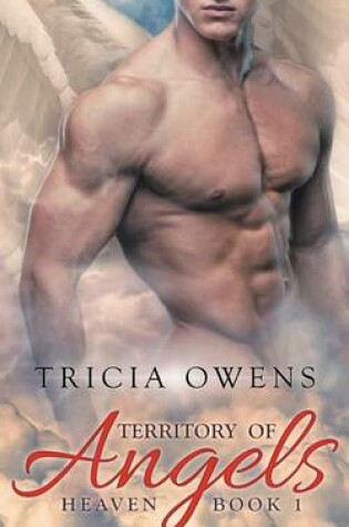 Cover of Territory of Angels (A