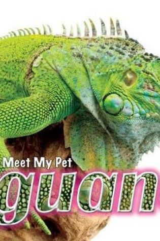 Cover of Iguana