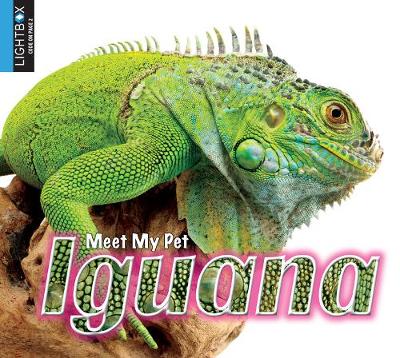 Book cover for Iguana