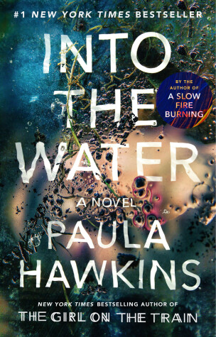 Book cover for Into the Water