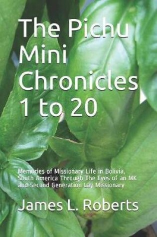 Cover of The Pichu Mini Chronicles 1 to 20