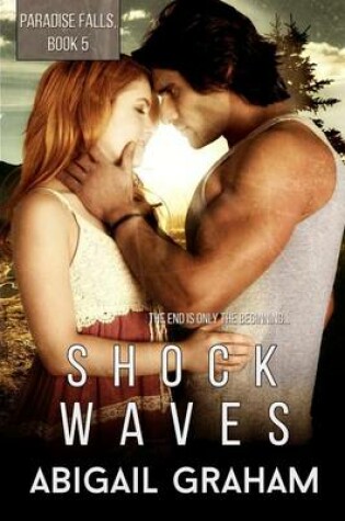 Cover of Shock Waves