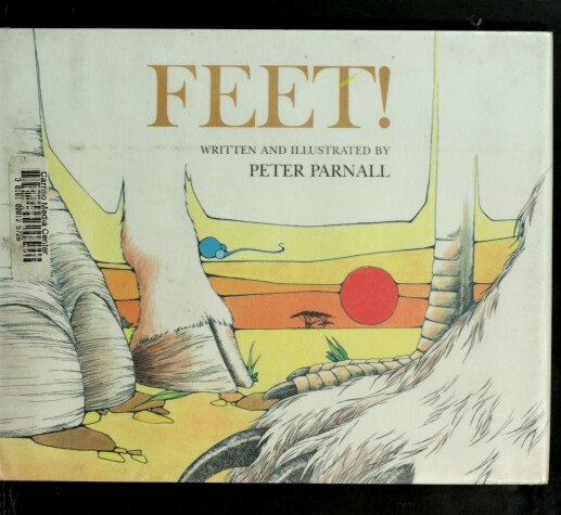 Book cover for Feet