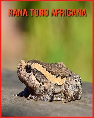 Book cover for Rana Toro Africana