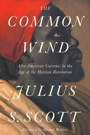 Book cover for The Common Wind