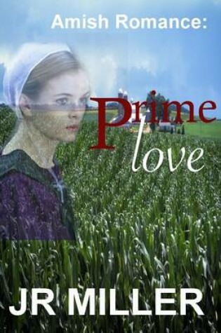 Cover of Amish Romance