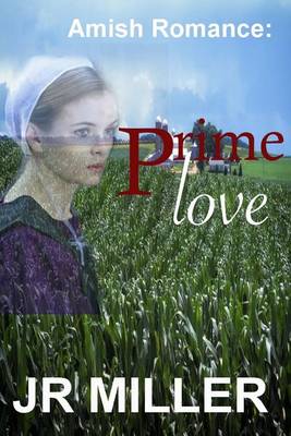 Book cover for Amish Romance