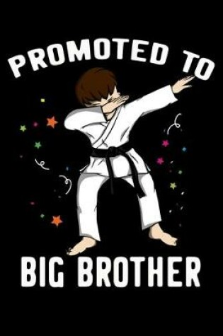 Cover of Promoted To Big Brother