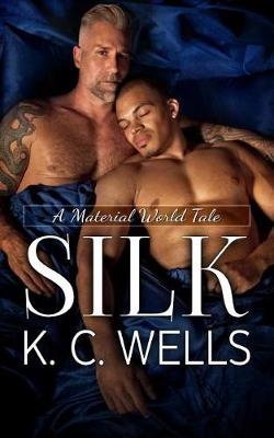 Book cover for Silk