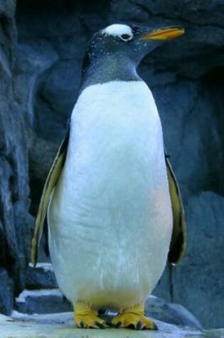 Cover of Gentoo Penguin Animal Journal