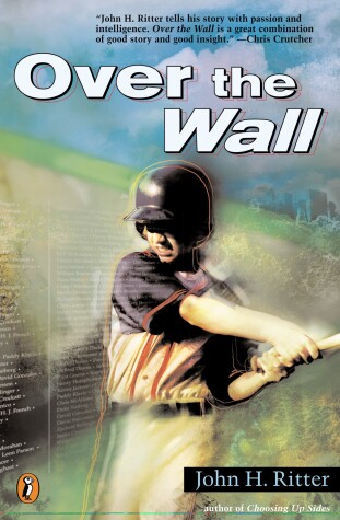 Book cover for Over the Wall