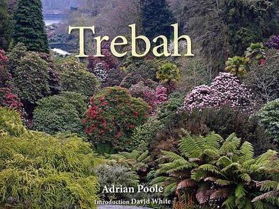 Book cover for Trebah