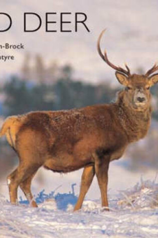 Cover of Red Deer