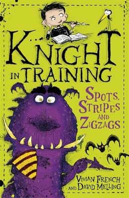 Book cover for Spots, Stripes and Zigzags