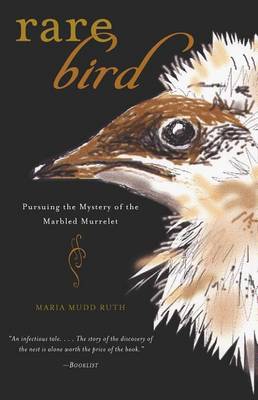 Book cover for Rare Bird
