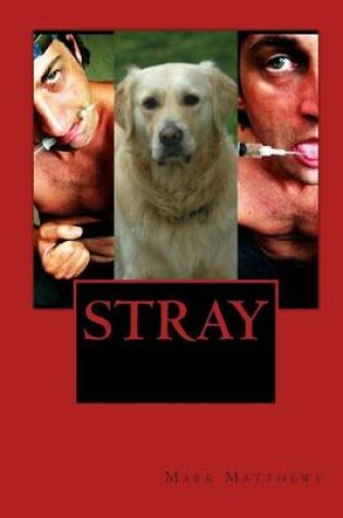 Cover of Stray