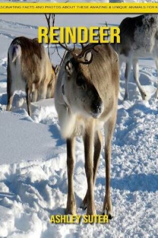 Cover of Reindeer