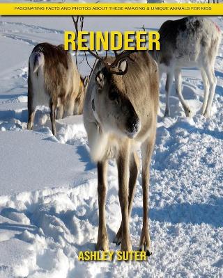 Book cover for Reindeer