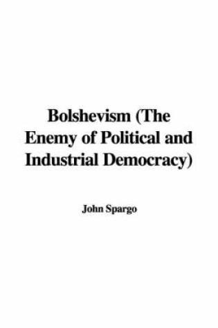 Cover of Bolshevism (the Enemy of Political and Industrial Democracy)