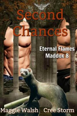 Book cover for Second Chances