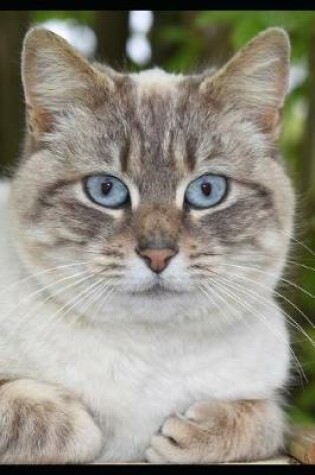 Cover of Charmingly Earnest Blue-Eyed Cat Pet Portrait Journal