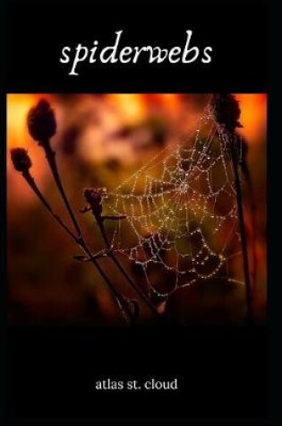 Cover of spiderwebs