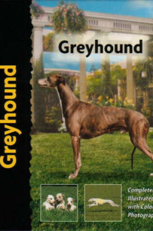 Cover of Greyhound