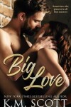 Book cover for Big Love