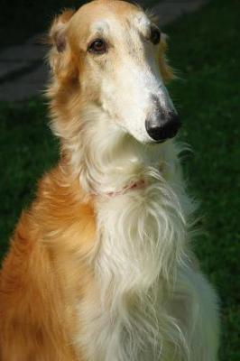 Book cover for Russian Wolfhound Borzoi Dog Portrait Journal